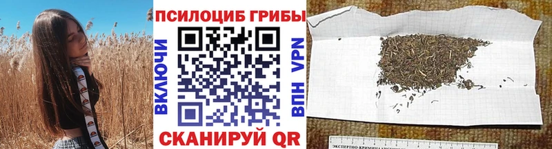Галлюциногенные грибы прущие грибы  Владивосток 